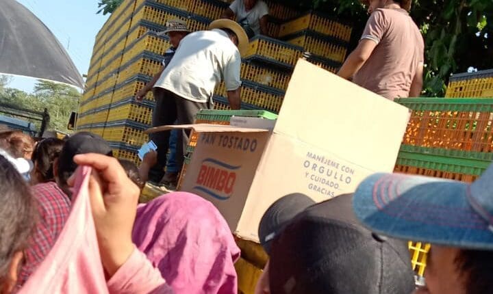 WhatsApp Image 2024-03-06 at 12.02.38 PM (1)