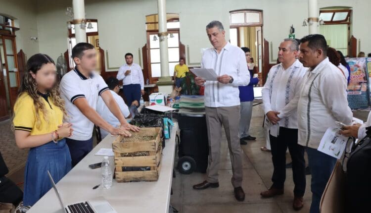 WhatsApp Image 2024-06-10 at 3.31.07 PM