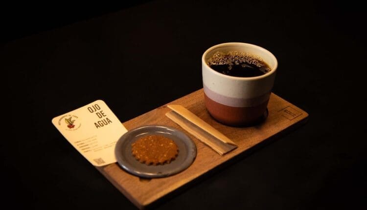 WhatsApp Image 2024-06-27 at 10.43.07 AM (3)