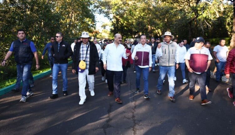 Imagen de WhatsApp 2024-11-24 a las 19.06.15_768c4143