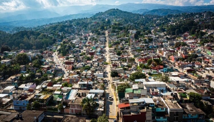 WhatsApp Image 2024-11-14 at 5.57.56 PM (5)