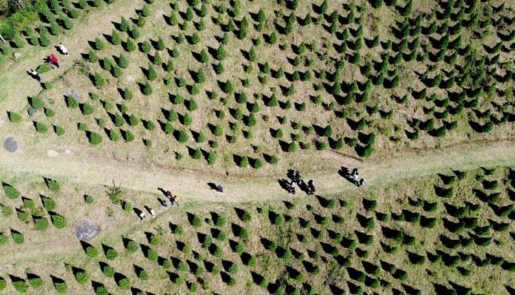 WhatsApp Image 2024-11-26 at 12.18.13 PM (1)