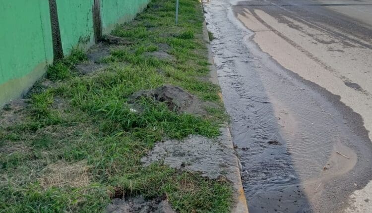 WhatsApp Image 2025-01-21 at 4.27.18 PM