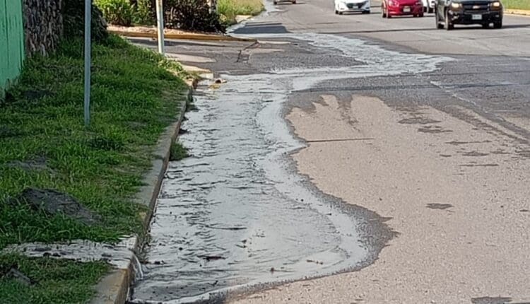 WhatsApp Image 2025-01-21 at 4.27.20 PM (1)