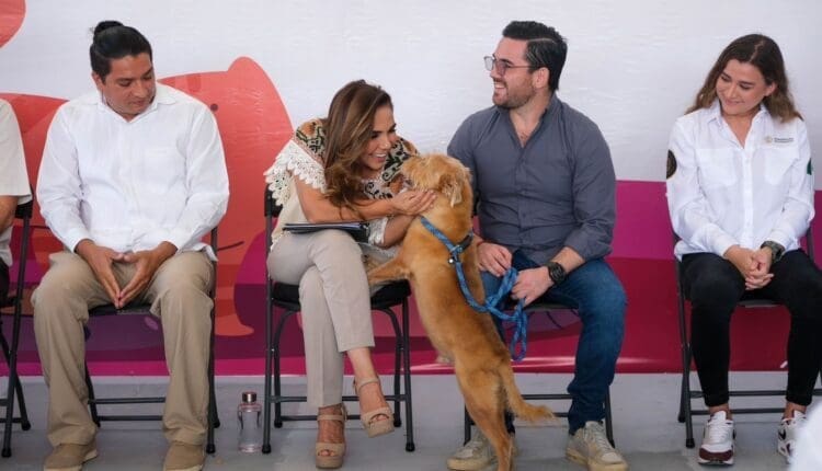 2d0898df-61cd-4bbe-a2df-c1aebc45b550