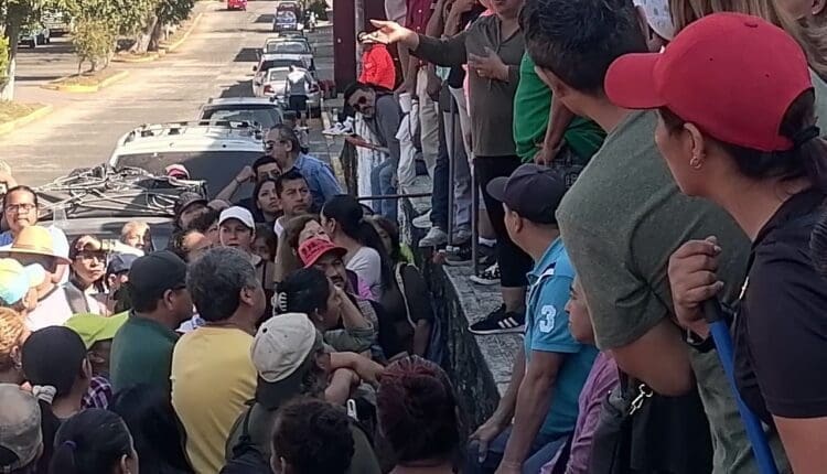 WhatsApp Image 2025-03-06 at 12.44.21 PM (2)