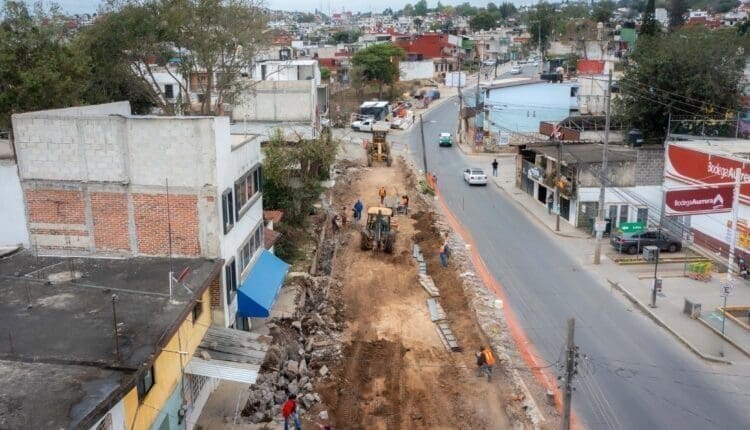 WhatsApp Image 2025-03-10 at 1.35.53 PM (3)