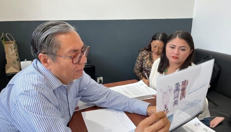 WhatsApp Image 2025-03-13 at 11.25.35 AM