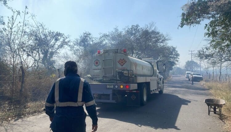 WhatsApp Image 2025-03-15 at 5.32.51 PM (1)