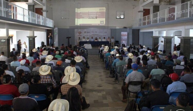 WhatsApp Image 2025-04-01 at 1.50.56 PM (1)