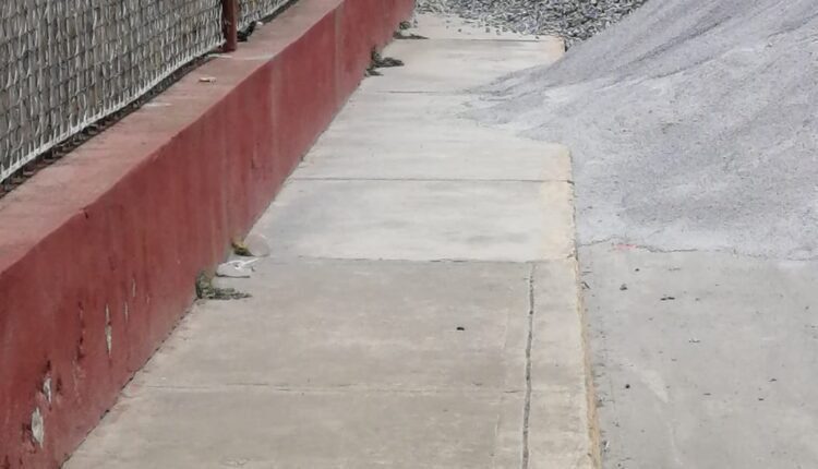 WhatsApp Image 2025-04-07 at 8.38.50 PM