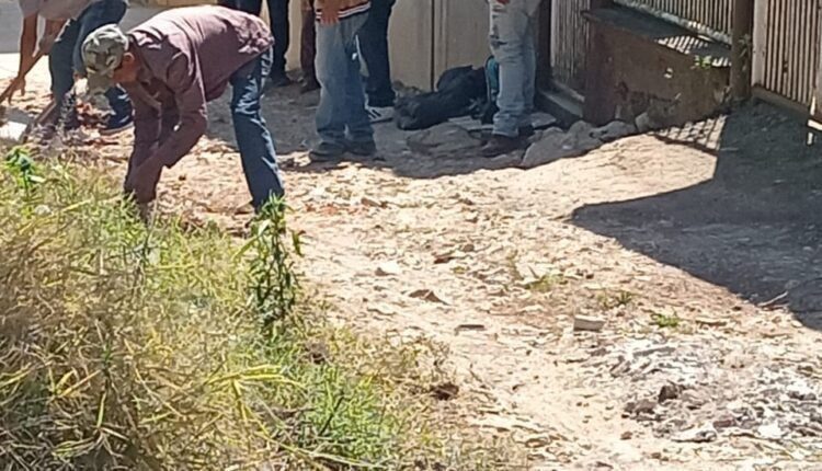 WhatsApp Image 2025-04-10 at 11.52.14 AM (2)