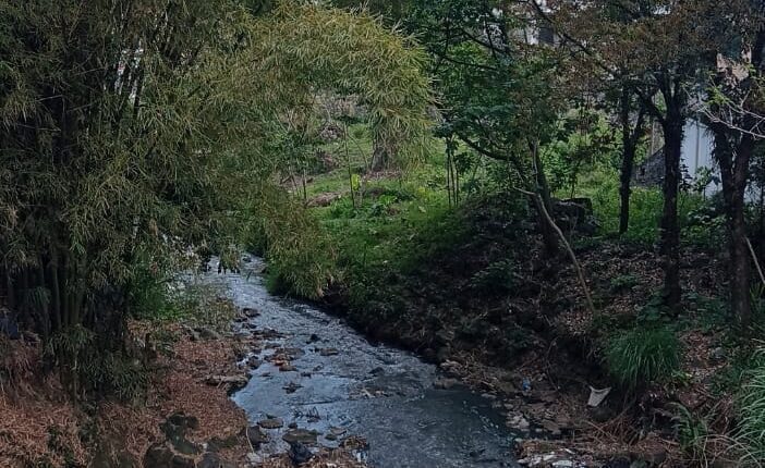 WhatsApp Image 2025-04-16 at 1.53.54 PM