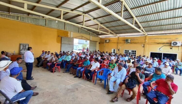 movimiento chinanteco Uxpanapa 2 (1)