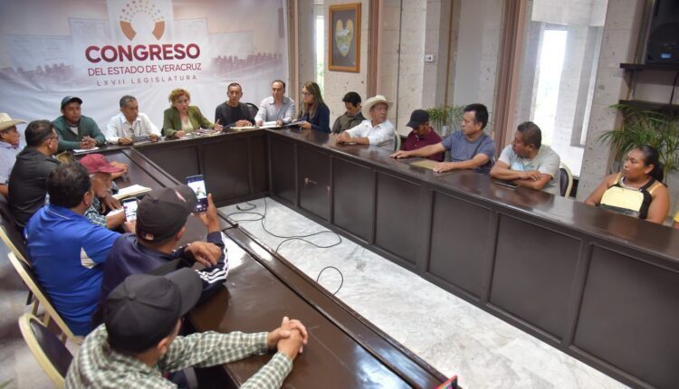 WhatsApp Image 2025-06-20 at 7.45.53 PM (1)