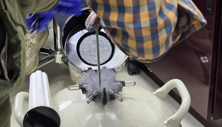 WhatsApp Image 2025-06-24 at 11.26.41 AM (2)