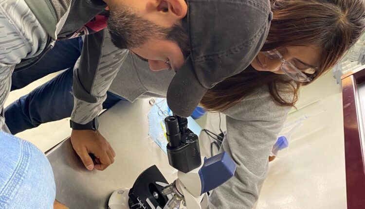 WhatsApp Image 2025-06-24 at 11.26.41 AM (3)