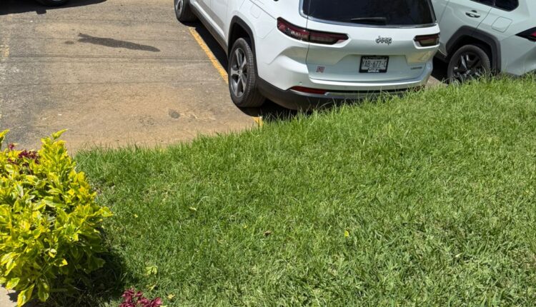 WhatsApp Image 2025-08-01 at 12.07.08 PM (2)