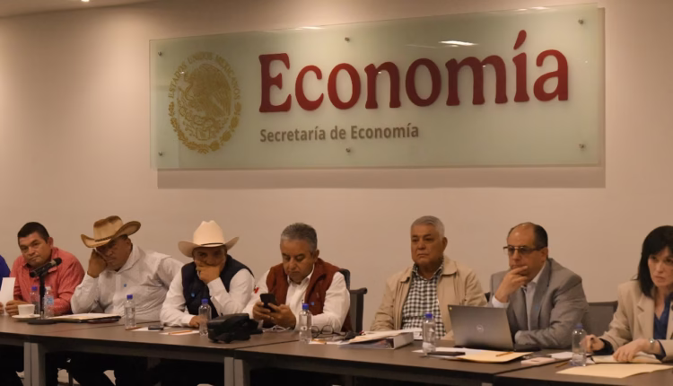 WhatsApp Image 2025-10-03 at 10.15.25 AM