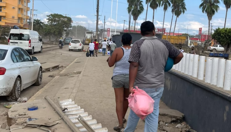 WhatsApp Image 2025-10-18 at 10.26.52 AM (8)