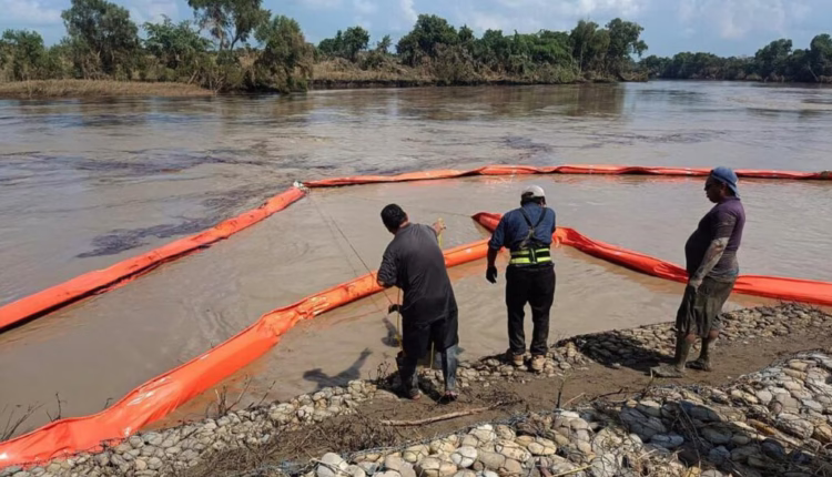 WhatsApp Image 2025-10-22 at 11.16.12 PM (1)