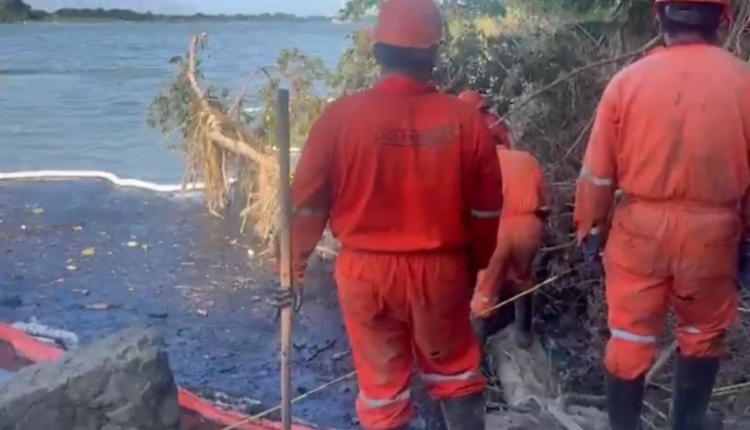 WhatsApp Image 2025-10-22 at 11.16.12 PM