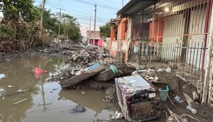 WhatsApp Image 2025-10-23 at 8.25.49 PM (6)