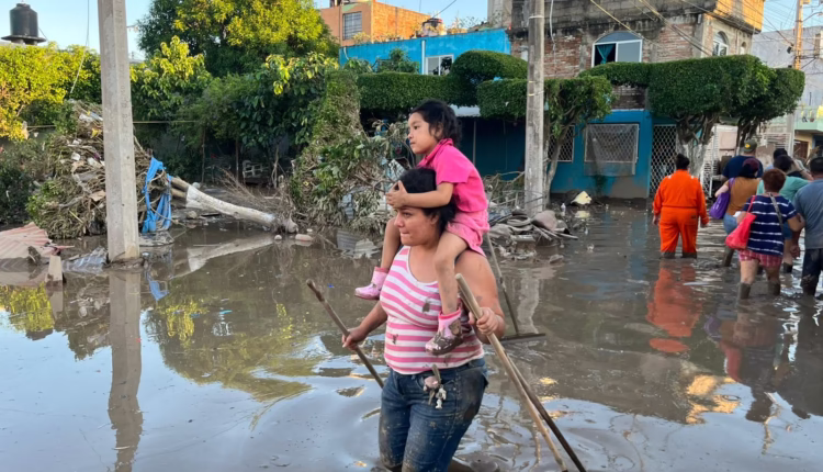 WhatsApp Image 2025-10-30 at 11.53.13 PM