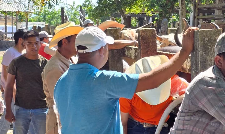 WhatsApp Image 2025-11-03 at 3.22.31 PM