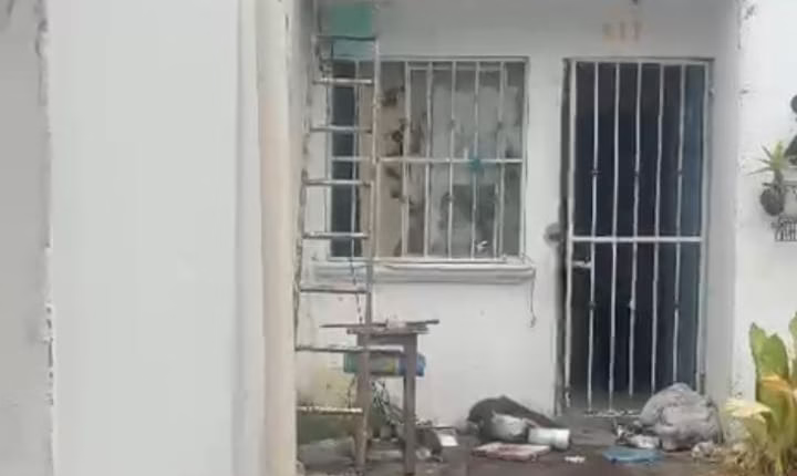 WhatsApp Image 2025-11-05 at 2.45.31 PM