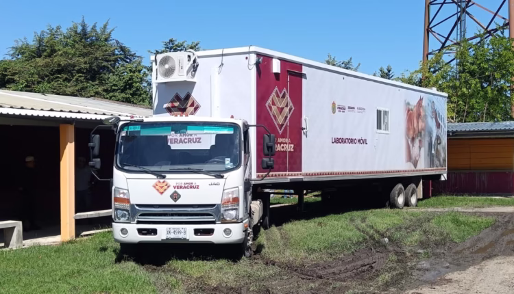 WhatsApp Image 2025-11-11 at 1.54.29 PM (2)