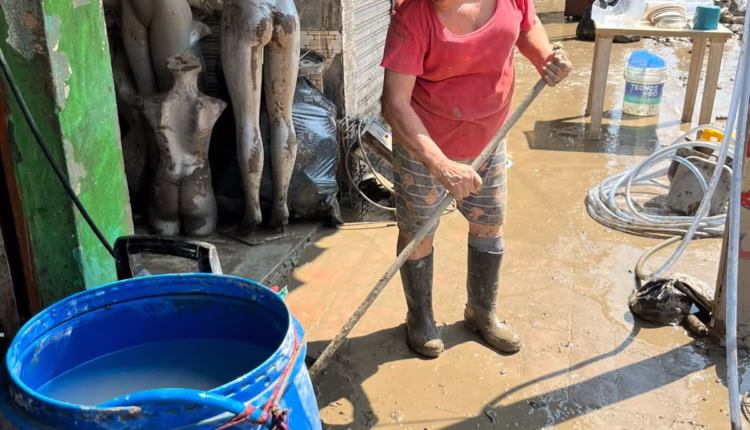 WhatsApp Image 2025-11-23 at 10.35.58 PM