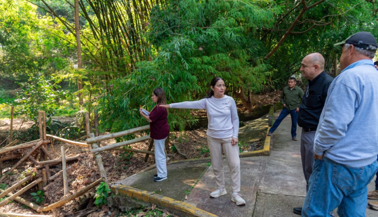 374d265a-b2dd-4d39-9e8c-873ad04f58ca