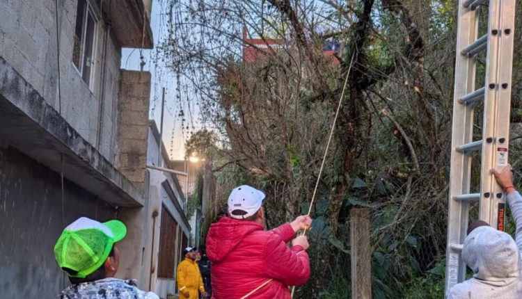 629358525_1393120139496610_2236865281282755812_n