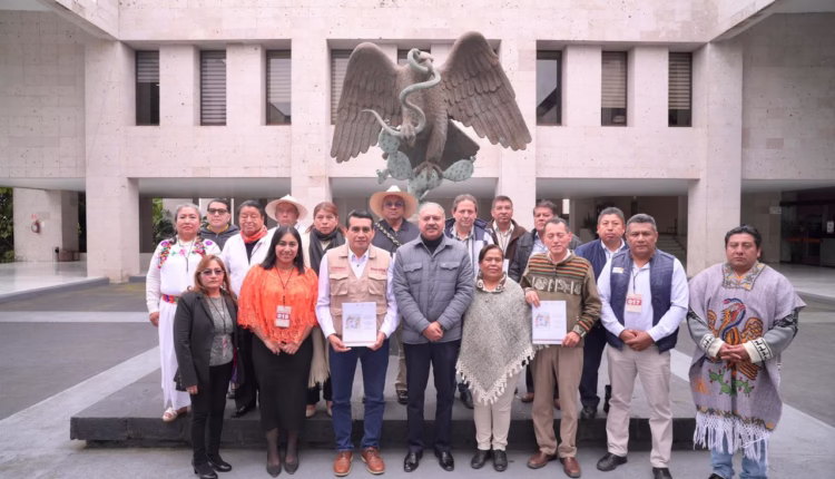 WhatsApp Image 2026-02-05 at 3.46.24 PM (1)