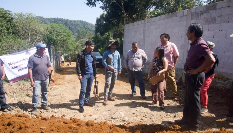 WhatsApp Image 2026-02-17 at 3.14.41 PM