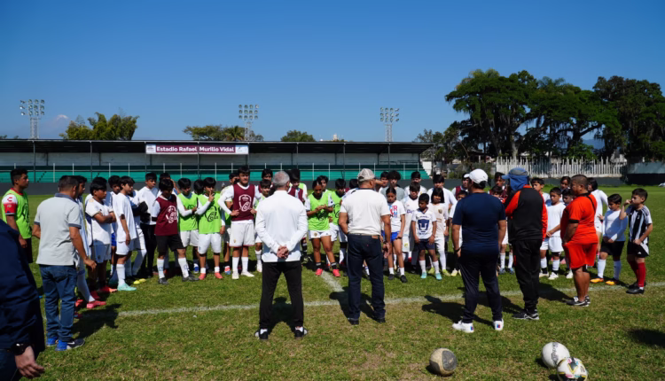 WhatsApp Image 2026-02-17 at 3.17.31 PM