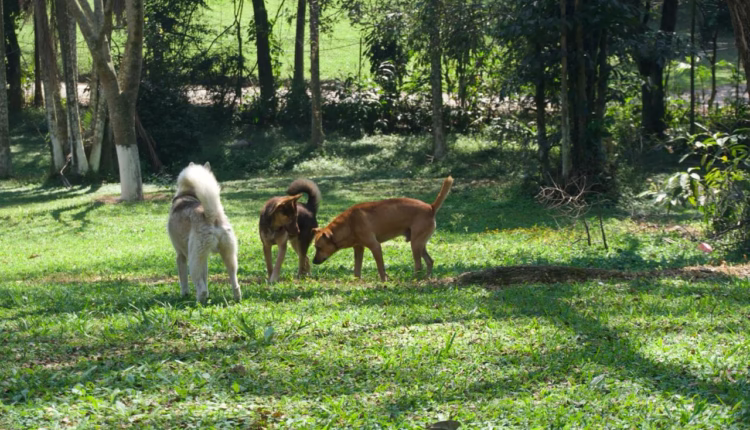 WhatsApp Image 2026-02-17 at 6.03.46 PM