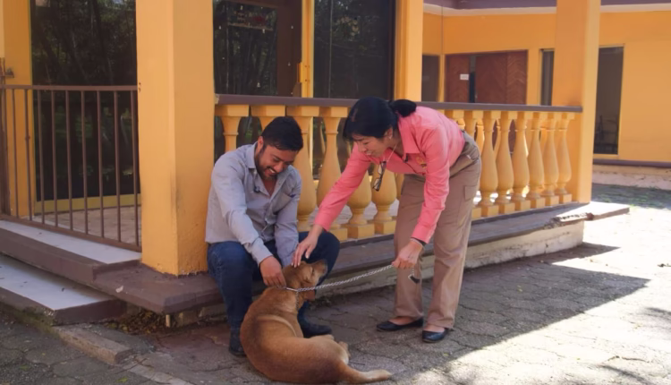 WhatsApp Image 2026-02-17 at 6.03.50 PM