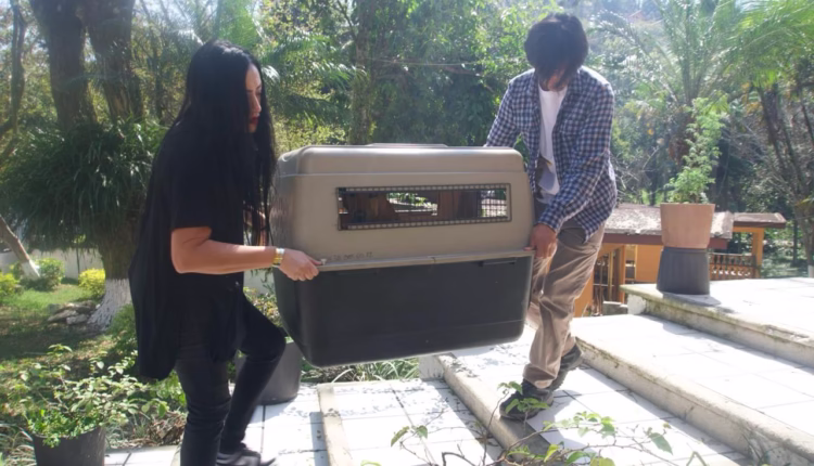 WhatsApp Image 2026-02-17 at 6.03.59 PM