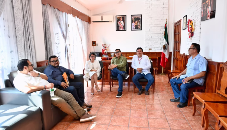 WhatsApp Image 2026-02-17 at 6.31.54 PM