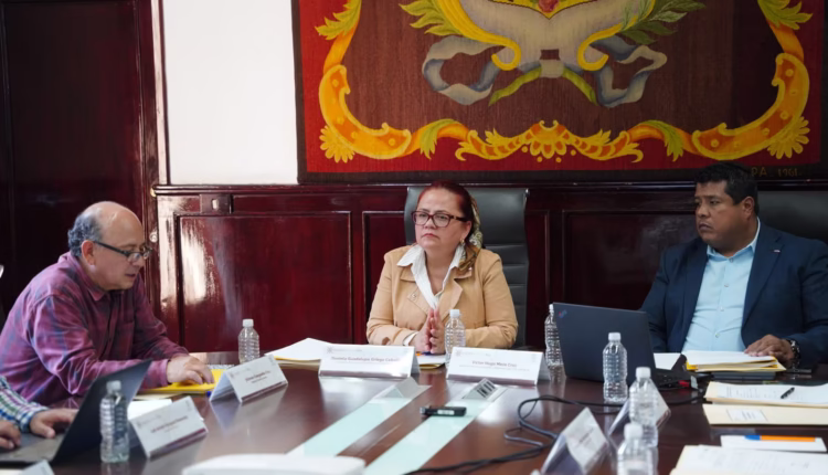 WhatsApp Image 2026-02-20 at 9.46.47 PM (1)