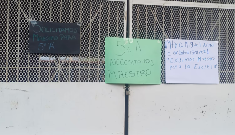 WhatsApp Image 2026-03-24 at 5.44.32 PM (1)