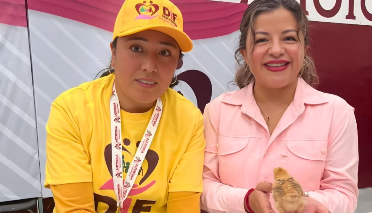 667850171_122125685379163831_3543670433695771681_n