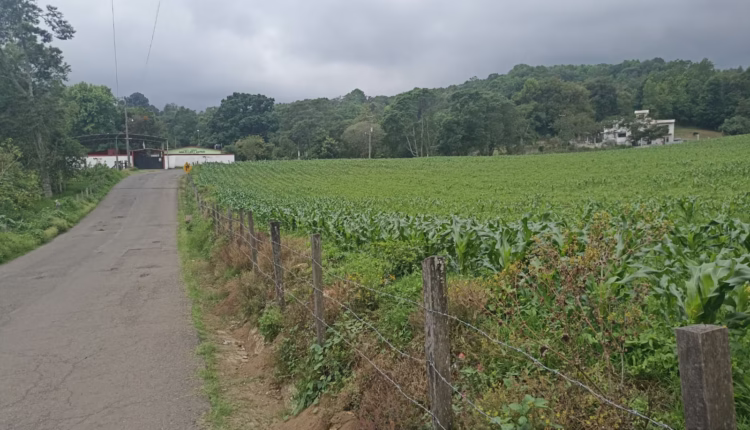 WhatsApp Image 2026-04-20 at 6.13.29 PM